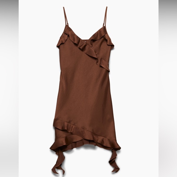 Aritzia Dresses & Skirts - Botanical Satin Dress - Limited Edition Cognac